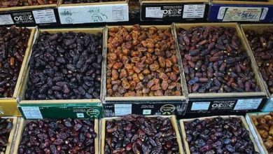 কলকাতার বাজারে ইসরায়েলি খেজুর বয়কট: ফেরত গেল শত শত কার্টন