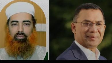 নির্বাচন নিয়ে মন্তব্য মাওলানা নদভীর: 'সরকার দ্রুতই পড়বে, বিদেশি শক্তি রক্ষা করতে পারবে না'