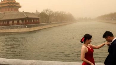 চীনা কলেজে বসন্তকালীন ছুটি: শিক্ষকদের পরামর্শ— 'বই রেখে প্রেমে পড়ুন, ফুল উপভোগ করুন'