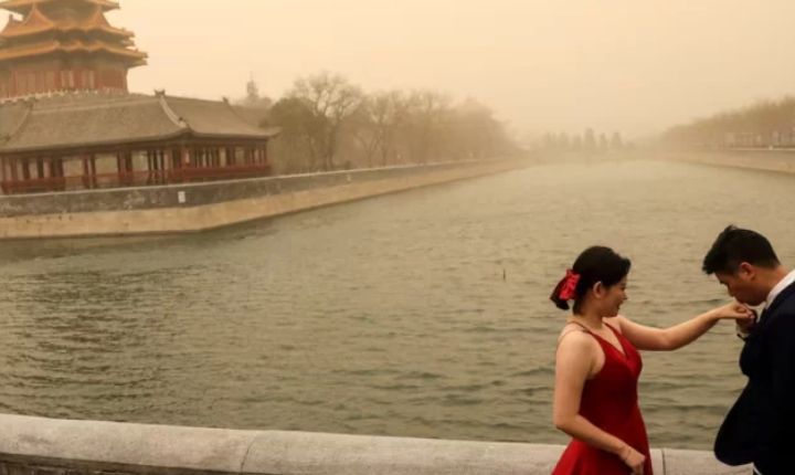 চীনা কলেজে বসন্তকালীন ছুটি: শিক্ষকদের পরামর্শ— 'বই রেখে প্রেমে পড়ুন, ফুল উপভোগ করুন'