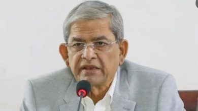 হঠাৎ সক্রিয়তাকে গুরুত্ব নয়, গণতন্ত্রকে নিজস্ব গতিতে চলতে দিন: ফখরুল