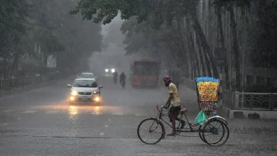 ৫ দিনের ঝড়-বৃষ্টির পূর্বাভাস: প্রস্তুত থাকুন সারাদেশ!