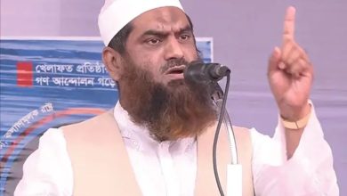 ভোট কারচুপির প্রমাণ রিজওয়ানা হাসানের বক্তব্যে : মামুনুল