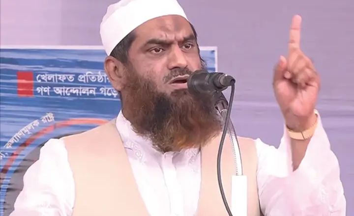 ভোট কারচুপির প্রমাণ রিজওয়ানা হাসানের বক্তব্যে : মামুনুল