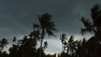 মার্চে আসছে তীব্র তাপপ্রবাহ ও কালবৈশাখী, জনজীবনে বড় শঙ্কা...