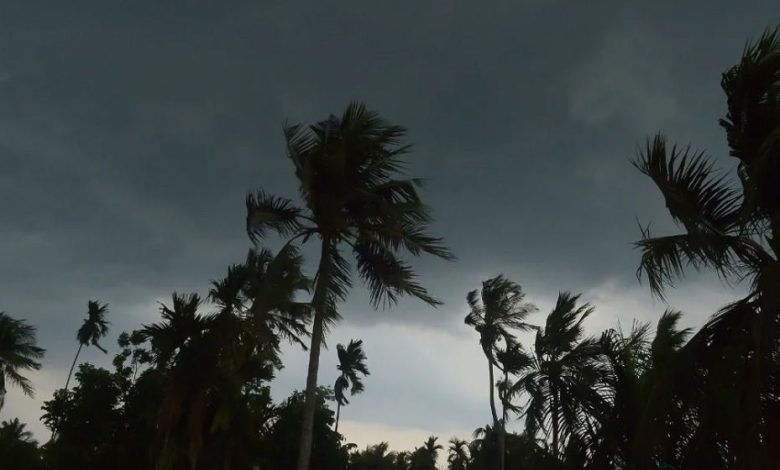 মার্চে আসছে তীব্র তাপপ্রবাহ ও কালবৈশাখী, জনজীবনে বড় শঙ্কা...