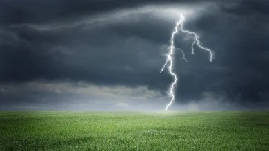 নওগাঁয় বজ্রপাতে ২ কৃষকের মৃত্যু: মাঠে কাজ করতে গিয়েই শেষ জীবন