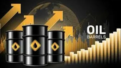 হঠাৎ যেভাবে বাড়ল তেলের দাম, বিশ্বজুড়ে আতঙ্ক!