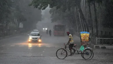 দেশে যা শুরু হলো! ২৪ ঘণ্টায় বজ্রবৃষ্টি ও তাপমাত্রা কমার আভাস