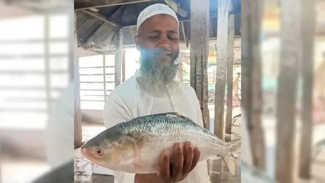 পহেলা বৈশাখে ইলিশের দামে তোলপাড়! সাড়ে ৭ হাজারে এক মাছ, কারণ জানলে অবাক হবেন