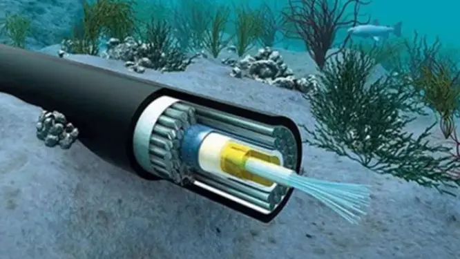 তিন ক্যাবল কোম্পানির বৈধতা নিয়ে তোলপাড়! কোটি টাকার বিনিয়োগ ঝুঁকিতে?