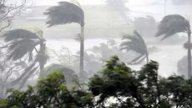 হঠাৎ আবহাওয়ার ভয়ংকর পূর্বাভাস! ৪ জেলায় চরম সতর্কতা