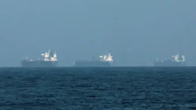 ইরানের সবুজ সংকেতে খুললো হরমুজ প্রণালি, পাকিস্তানের জন্য আসছে বড় খবর!