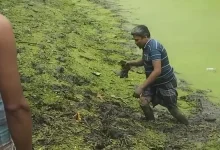 পুকুরে মাছ ধরতে গিয়ে একি পেলেন দৃষ্টিহীন! তোলপাড় ভোলায়
