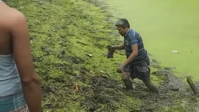পুকুরে মাছ ধরতে গিয়ে একি পেলেন দৃষ্টিহীন! তোলপাড় ভোলায়