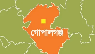 ১০ মাসের শিশুর মৃত্যুতে কাঁপছে গোপালগঞ্জ: হামের উপসর্গ নিয়ে যা ঘটল!