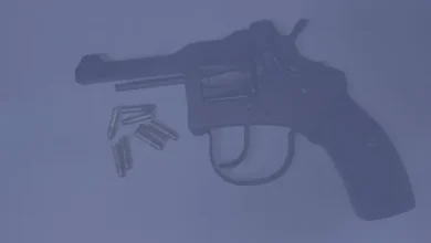 ঈশ্বরদীতে যুবক গ্রেপ্তার: হাতে অস্ত্র, চোখে কি অপরাধের ছায়া?