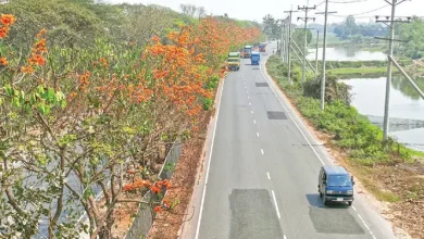 হঠাৎ যা ঘটল ঢাকা-চট্টগ্রাম মহাসড়কে! লালগালিচায় মুড়ে গেল দেশের লাইফলাইন