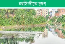 কারখানার বিষে মরছে নদী! নরসিংদীর জনজীবন এখন হুমকির মুখে!
