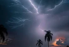 গম কাটার সময় হঠাৎ বজ্রপাত! কৃষকের মৃত্যু, মাঠে আতঙ্ক!