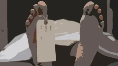 পাহাড়ের চূড়া থেকে পড়ে গিয়েছিলেন কেন? বান্দরবানে মা-মেয়ের লাশ পাওয়া গেল