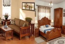 ঘুণ ধরছে প্রিয় আসবাবপত্রে? যা জানলে অবাক হবেন!