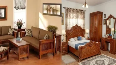 ঘুণ ধরছে প্রিয় আসবাবপত্রে? যা জানলে অবাক হবেন!