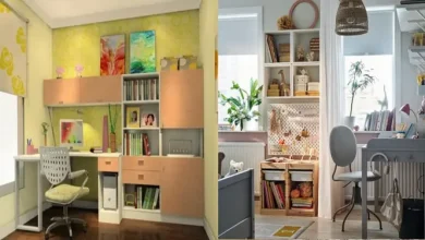 শিশুর পড়ার ঘরে যা থাকলে পড়াশোনায় ঝড় তুলবে! গোপন টিপস ফাঁস