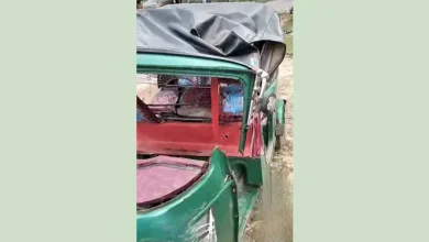 ঝুঁকিপূর্ণ গাছে কেড়ে নিল প্রাণ: সড়কের নিরাপত্তায় প্রশ্ন