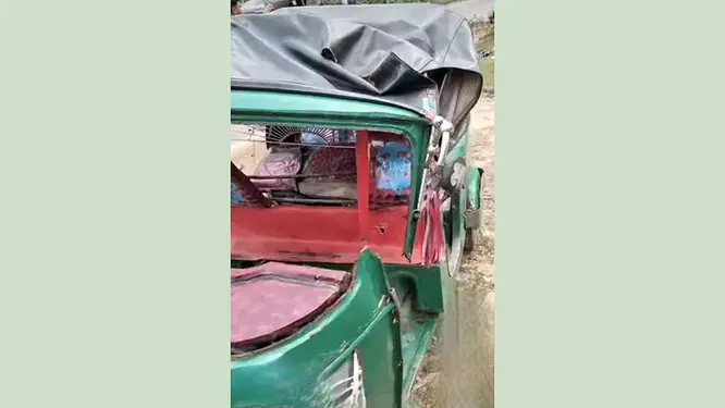 ঝুঁকিপূর্ণ গাছে কেড়ে নিল প্রাণ: সড়কের নিরাপত্তায় প্রশ্ন