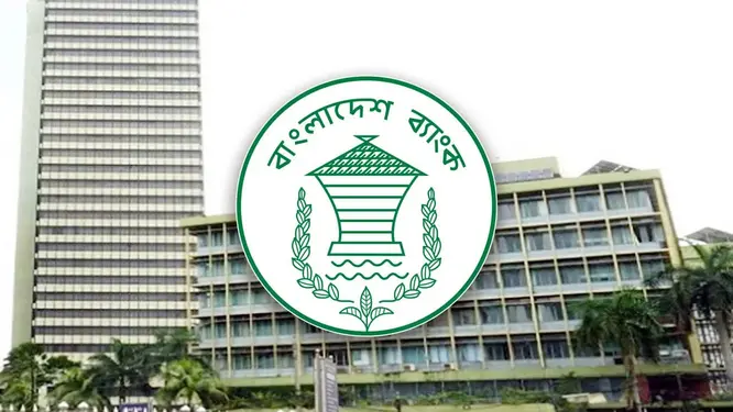 সাইবার হামলা রুখতে বড় পদক্ষেপ! আর্থিক খাতে আসছে নতুন নিয়ম, যা জানলে চমকে যাবেন