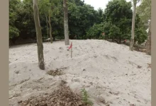 আত্রাই নদীতে চলছে মহোৎসব! প্রশাসনকে বৃদ্ধাঙ্গুলি দেখিয়ে 'প্রভাবশালী চক্রের' রমরমা ব্যবসা, অন্ধকারে কোটি টাকার রাজস্ব!