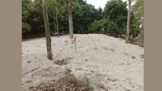 আত্রাই নদীতে চলছে মহোৎসব! প্রশাসনকে বৃদ্ধাঙ্গুলি দেখিয়ে 'প্রভাবশালী চক্রের' রমরমা ব্যবসা, অন্ধকারে কোটি টাকার রাজস্ব!