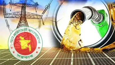 চাকরিজীবীদের জন্য সরকার নামালো নতুন নির্দেশিকা: বিদ্যুৎ, জ্বালানি ব্যবহারে বড় পরিবর্তন!