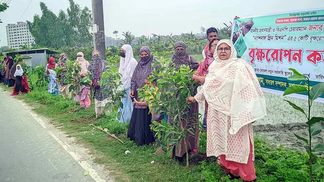 রংপুরে ১০ হাজার গাছ লাগানোর বিশাল উদ্যোগ! পেছনে কারা, জানেন?