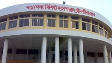 শ্রীমঙ্গলে নিথর দেহ পড়ে রইল সড়কে, যা ঘটল অটোরিকশায়!