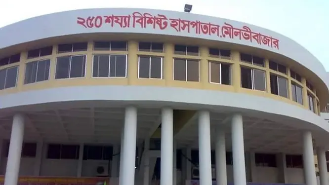 শ্রীমঙ্গলে নিথর দেহ পড়ে রইল সড়কে, যা ঘটল অটোরিকশায়!