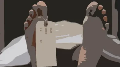 ধানখেতে যুবকের লাশ, পাশে ৩ মোবাইল: রহস্য ঘনীভূত