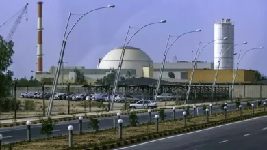 বুশেহর পরমাণু কেন্দ্রে আঘাত! ইরান যা জানাল, বিশ্বে তোলপাড়