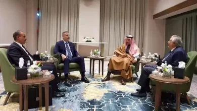 পাকিস্তানকে ঘিরে রহস্যময় বৈঠক! আসছেন ৩ দেশের পররাষ্ট্রমন্ত্রী, যা ঘটছে রাতে