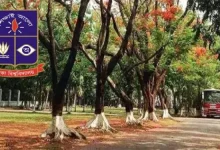 ২১ কোটি টাকার ‘মল চত্বর’: বিদ্যুৎস্পৃষ্টে কুকুরের মৃত্যু, মানব مرگের আশঙ্কা