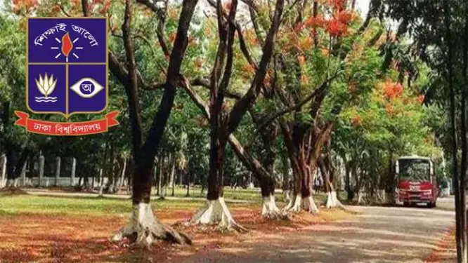 ২১ কোটি টাকার ‘মল চত্বর’: বিদ্যুৎস্পৃষ্টে কুকুরের মৃত্যু, মানব مرگের আশঙ্কা