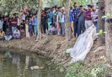 হঠাৎ নিখোঁজ শ্রমিক, দুই দিন পর ডোবায় মিলল বীভৎস লাশ! কেন এমন হলো?