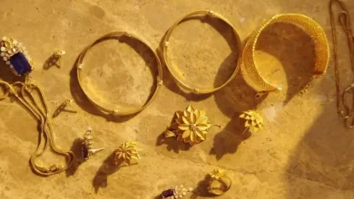 চুরির ২৫ লাখ টাকার স্বর্ণ নিয়ে উধাও গৃহকর্মী, অবশেষে যা ঘটল!