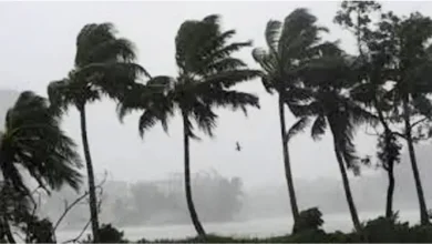 হঠাৎ কালবৈশাখী! কাঁপছে শহর, যা হতে পারে সামনে