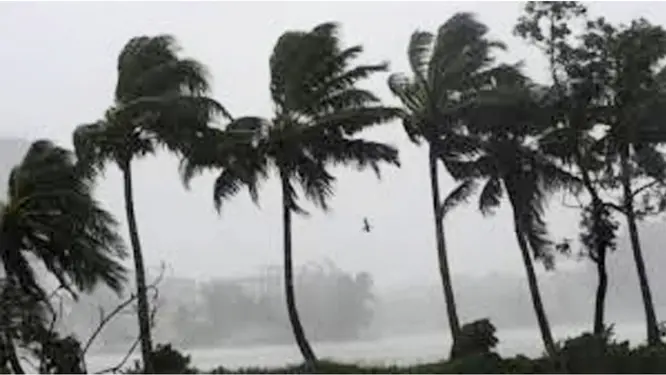 হঠাৎ কালবৈশাখী! কাঁপছে শহর, যা হতে পারে সামনে