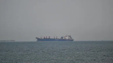 দ্বিতীয় চেষ্টায় হরমুজ প্রণালী অতিক্রম! আন্তর্জাতিক মহলে তোলপাড়