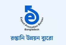 রপ্তানি আয় ১৮% কমার পর যা বললেন বিশেষজ্ঞরা, সামনে কি আরও খারাপ পরিস্থিতি?