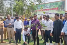 বিকল্প নেই! ২৫ কোটি গাছ লাগানোর বিশাল পরিকল্পনায় চট্টগ্রামের ডিসি