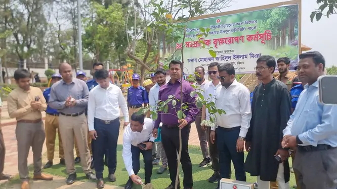 বিকল্প নেই! ২৫ কোটি গাছ লাগানোর বিশাল পরিকল্পনায় চট্টগ্রামের ডিসি
